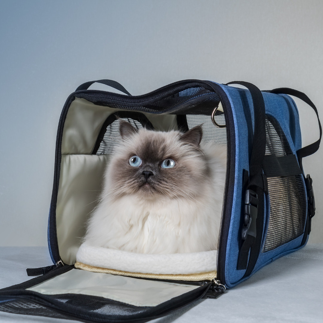 Транспортни чанти и клетки за котки