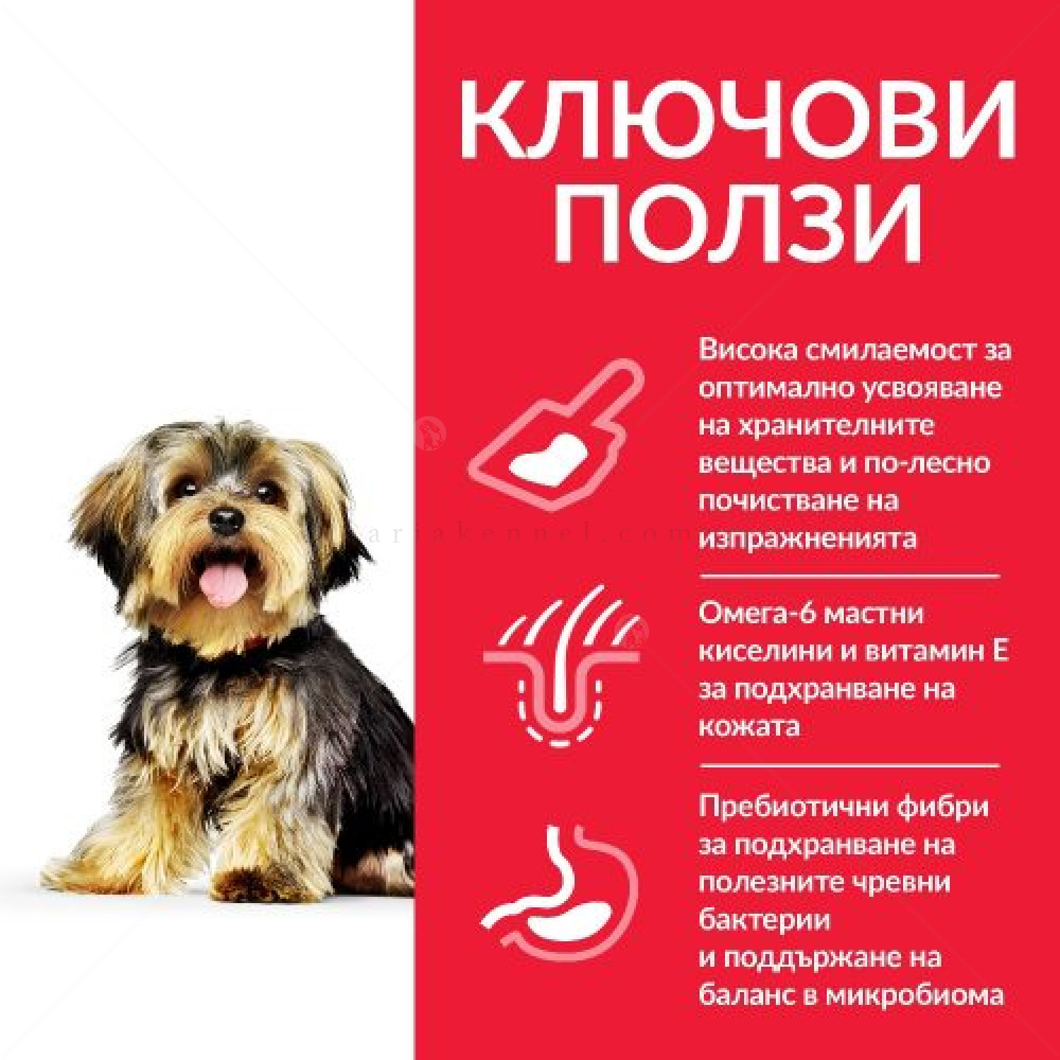 HILL’S SP 1.500 кг Adult Small&Mini Sensitive Stomach&Skin Chicken