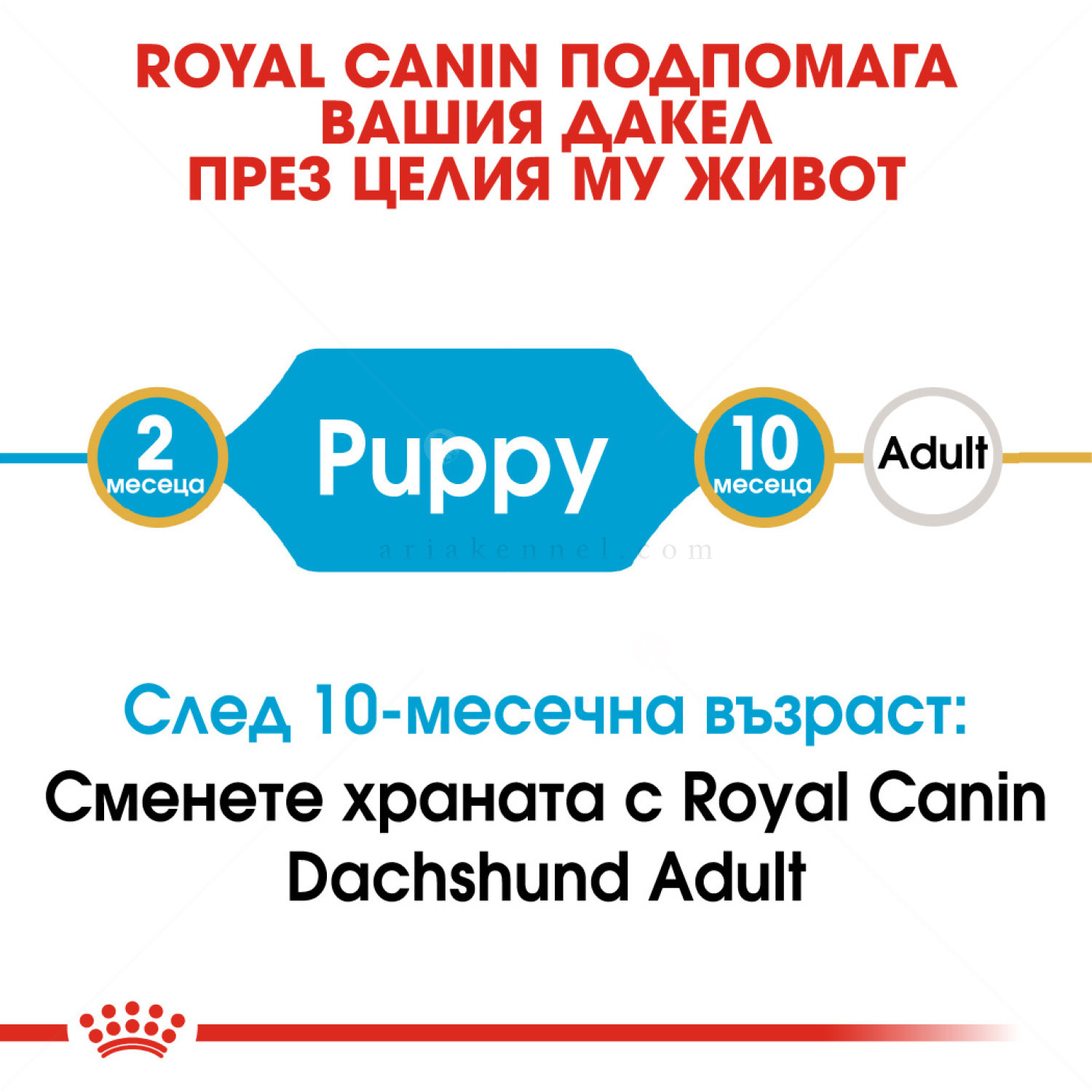 ROYAL CANIN Puppy Dachshund - 1.500 кг