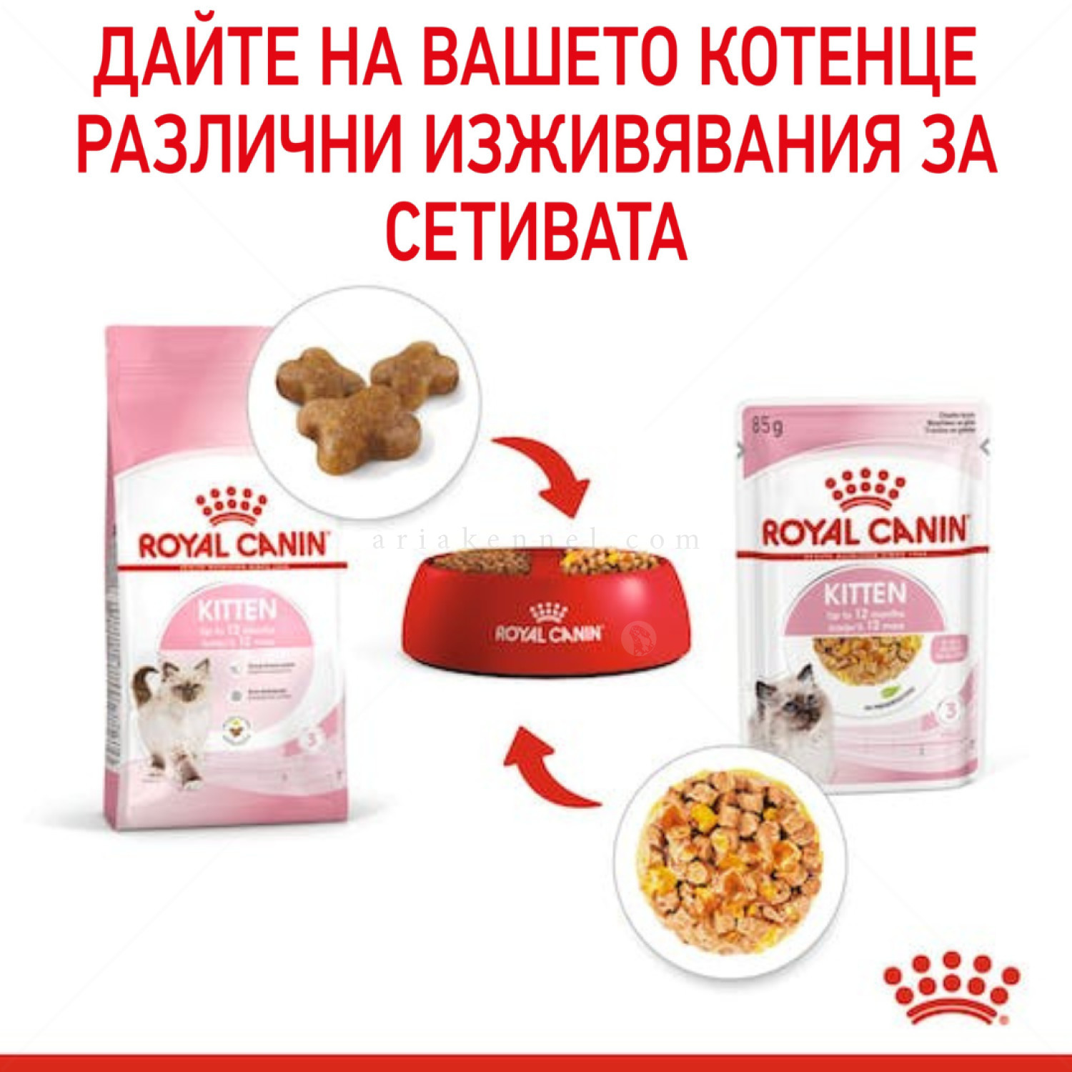 ПРОМО ROYAL CANIN® Kitten Pouch 4x85 гр. пастет, хапки в сос и в желе