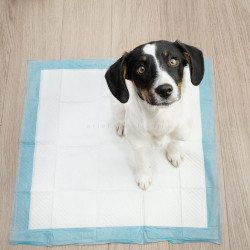 Хигиенни подложки/Пелени за кучета, размер L, PURLOV