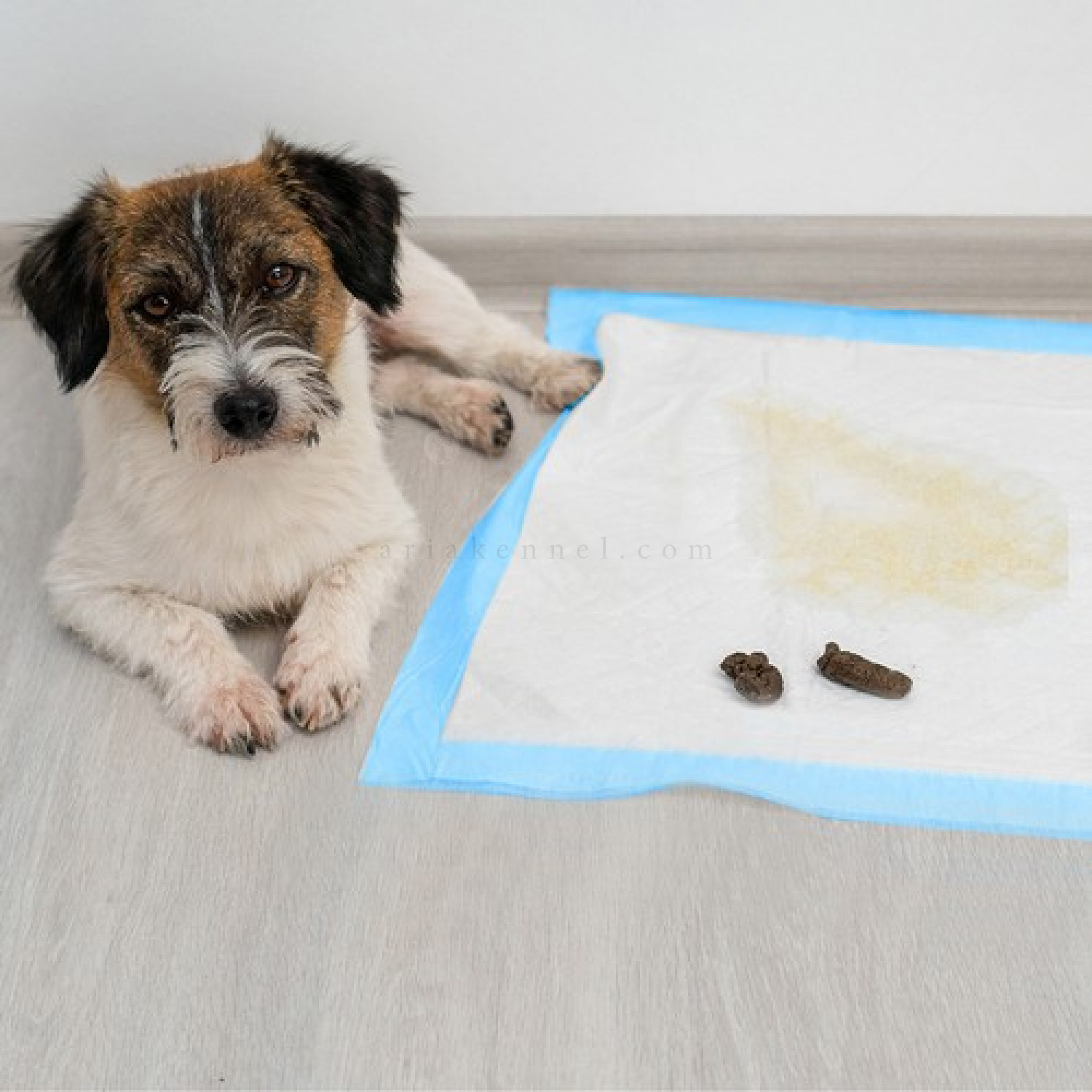 Хигиенни подложки/Пелени за кучета, размер L, PURLOV
