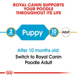 ROYAL CANIN Puppy Poodle - 0.500 кг