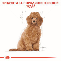 ROYAL CANIN Puppy Poodle - 1.500 кг