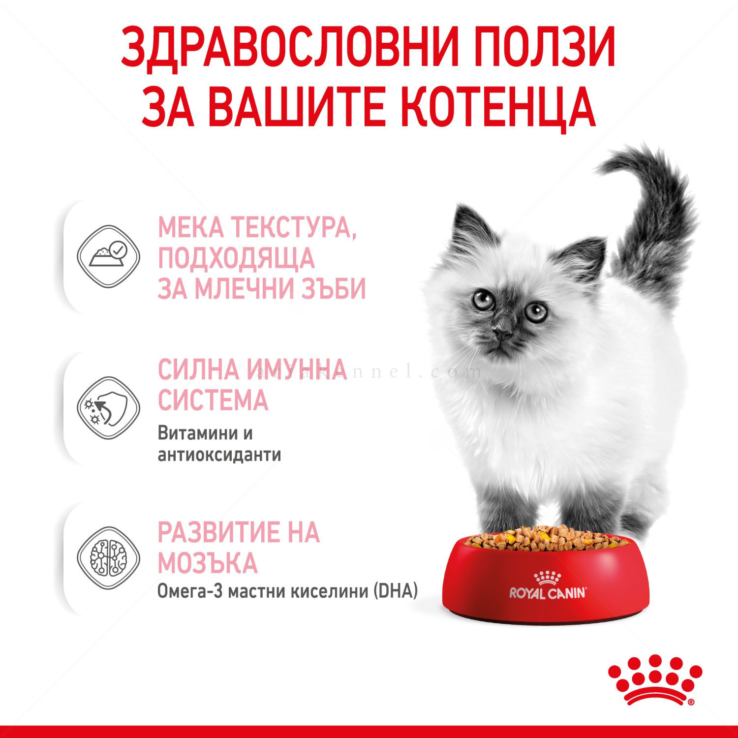 ROYAL CANIN® Kitten 85 гр. пауч в желе