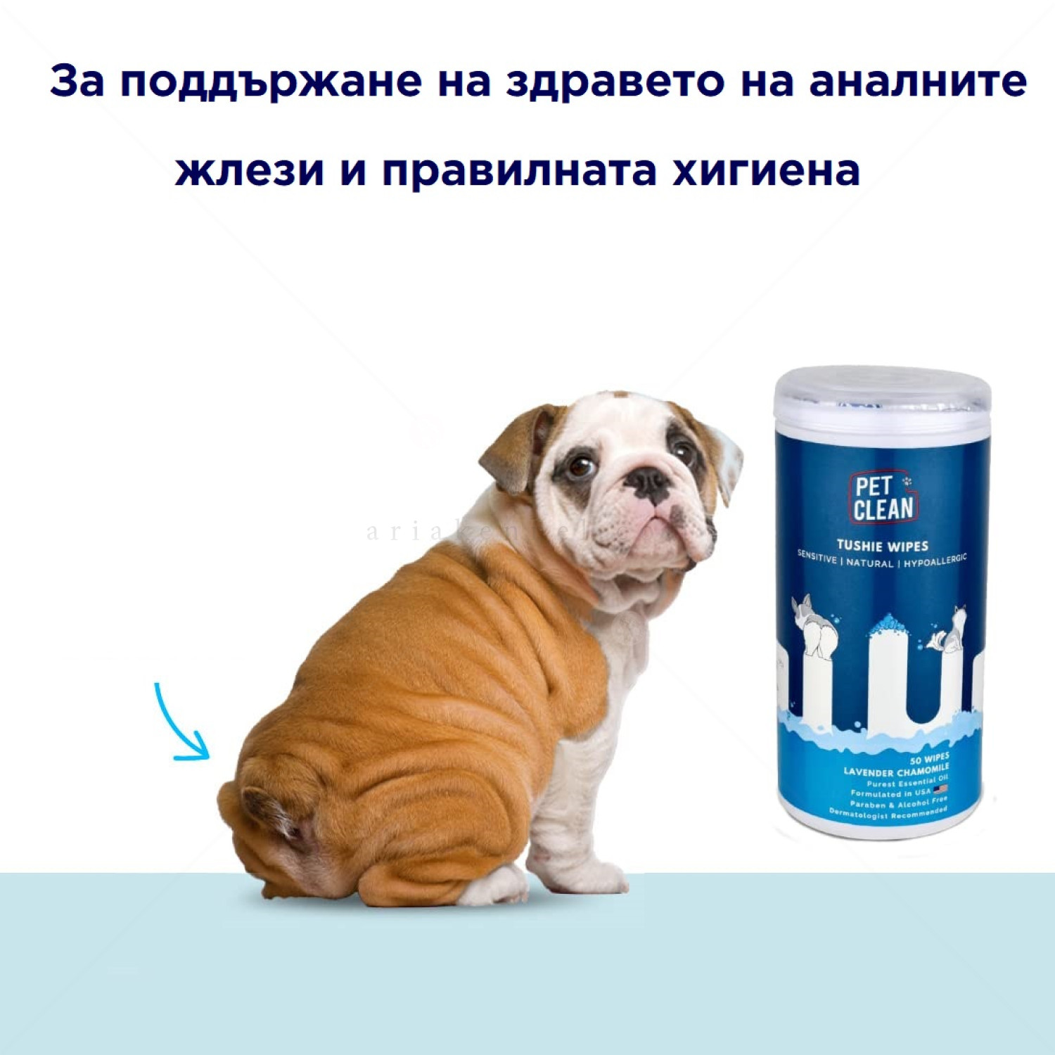Мокри кърпи за почистване на аналната област на кучета и котки с лавандула и лайка, PET CLEAN, в кутия