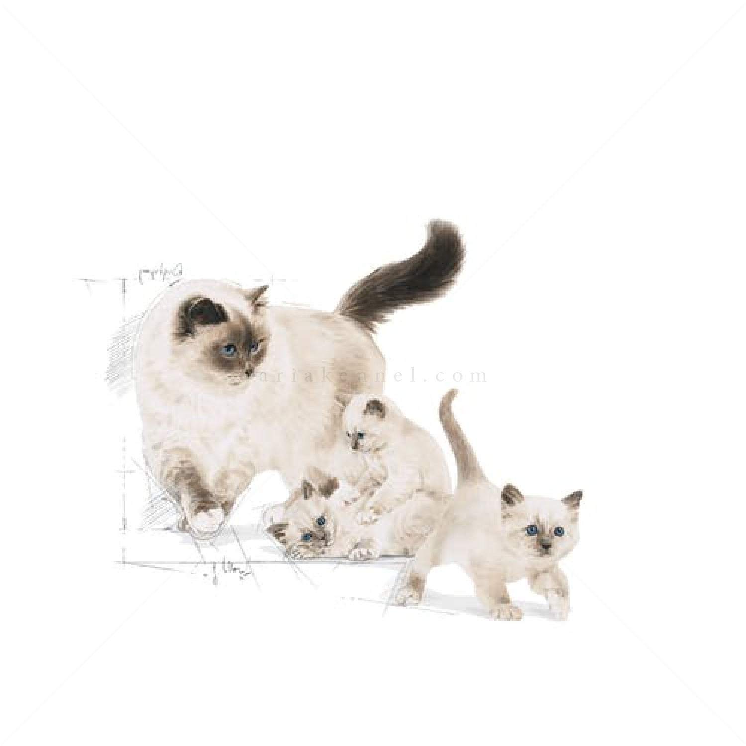 ROYAL CANIN 0.400 кг. Mother & Babycat