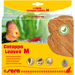 SERA Catappa Leaves M 10-15 см