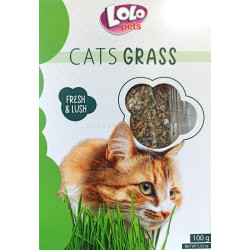 Трева за котки LOLO PETS