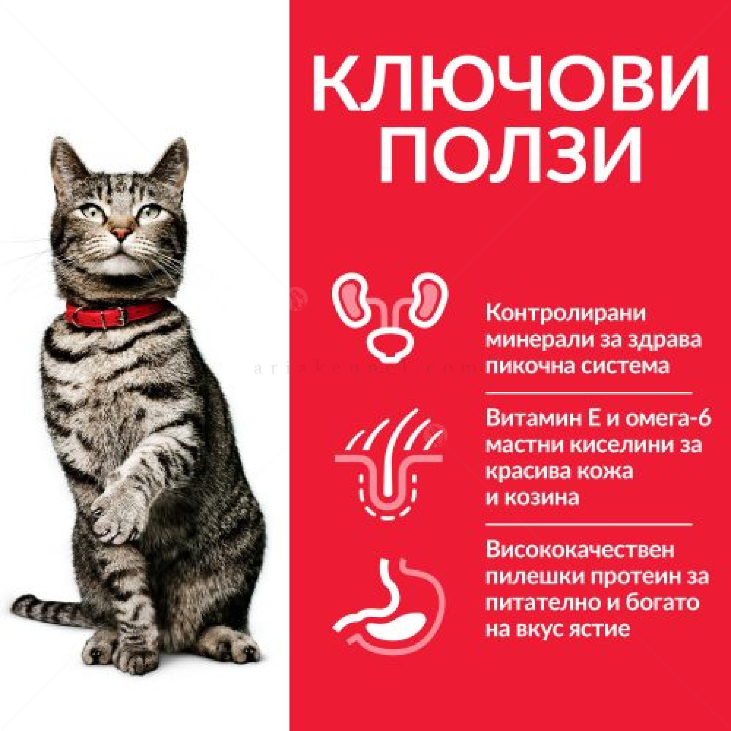 HILL’S SP 1.500 кг. Adult Urinary Health Chicken
