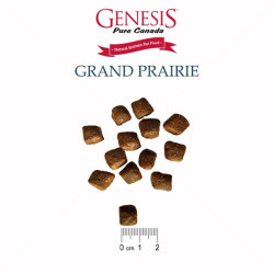 GENESIS Pure Canada Adult Grand Prairie Exotic 11.790 кг.
