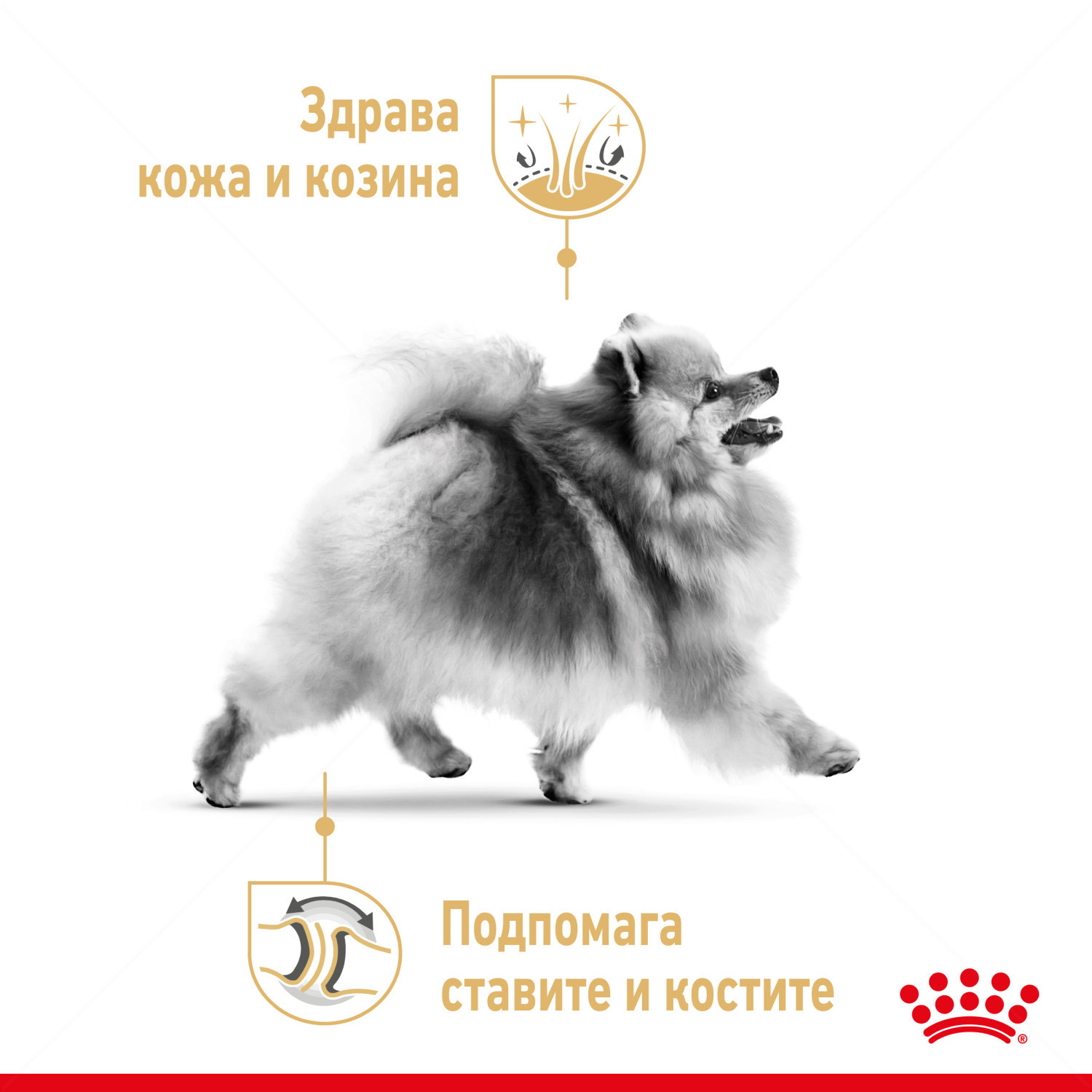 ROYAL CANIN Adult Pomeranian - 1.500 кг