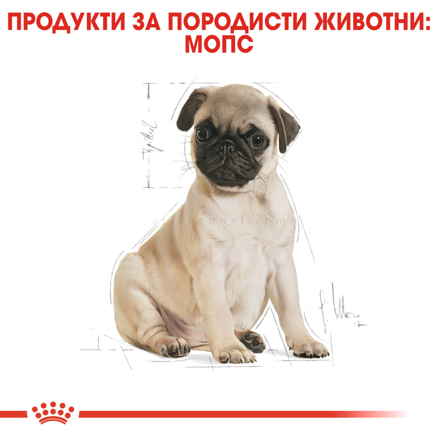 ROYAL CANIN Puppy Pug - 1.500 кг