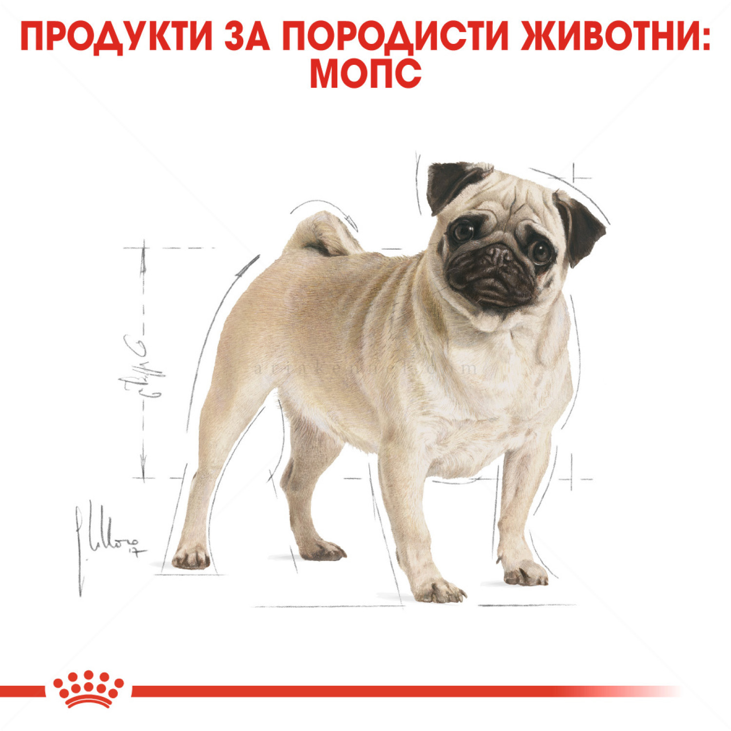 ROYAL CANIN Adult Pug - 1.500 кг