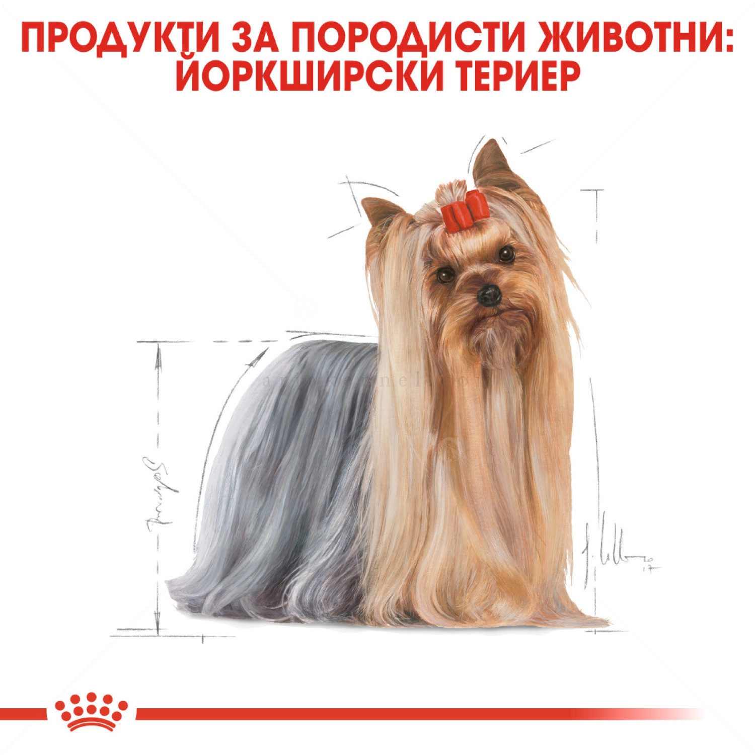 ROYAL CANIN Adult Yorkshire Terrier - 1.500 кг