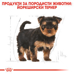 ROYAL CANIN Puppy Yorkshire Terrier - 0.500 кг