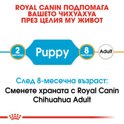 Комплект ROYAL CANIN 0.500 кг. Chihuahua Puppy + ROYAL CANIN 85 гр. Mini puppy пауч + PERRITO 50 гр. Хапки пилешко месо