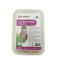 FLAMINGO Cat Grass Seed 100 гр. Котешка трева