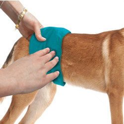Многократна перяща се пелена за мъжки кучета, размер S, SIMPLE SOLUTION