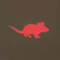 TRIXIE Точков лазер - мишка, различни цветове